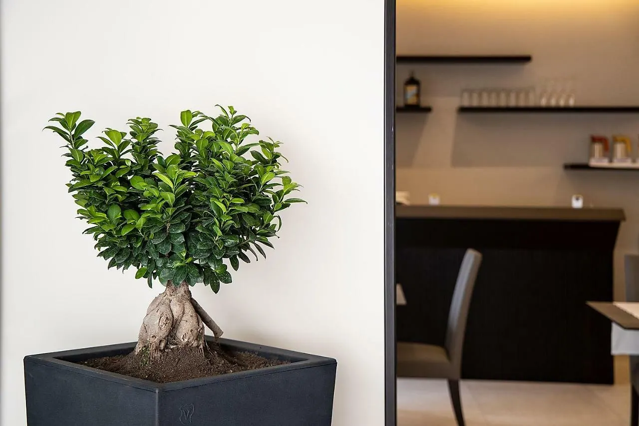 Hotel Palazzo Argenta Naples
